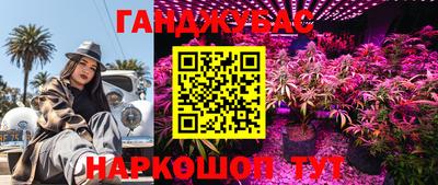 эйфоретик Будённовск